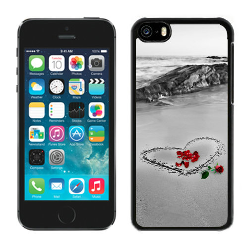 Valentine Sand Love iPhone 5C Cases CQC